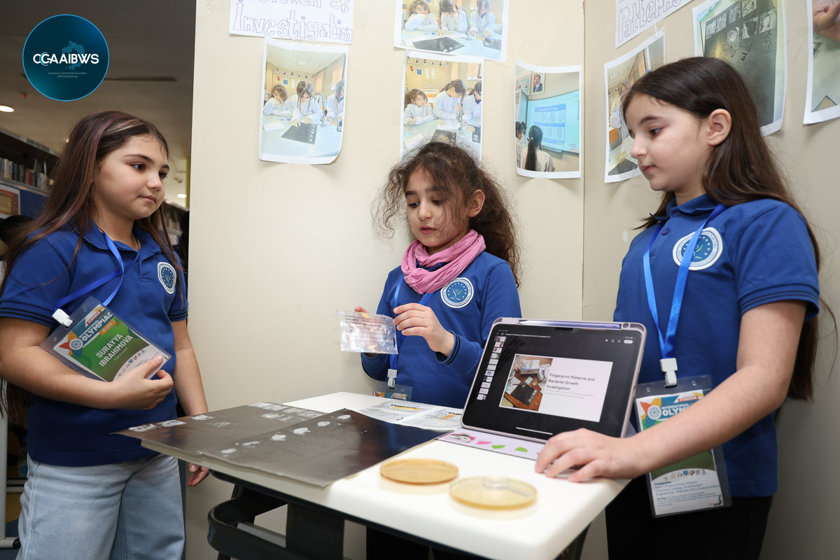 COMPRESSED_STEAM_LIBRARY_PROJECT OLYMPIAD-49